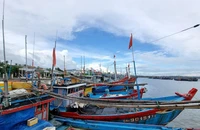 Bão Noru: Quảng Nam còn 19 tàu đang hoạt động ở vùng nguy hiểm 