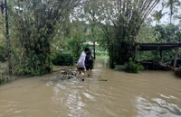 Mưa trắng trời, nhiều tuyến đường ở Quảng Nam ngập sâu, chia cắt