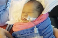 Bé sơ sinh bị bỏ rơi nhiều ngày trong rừng 