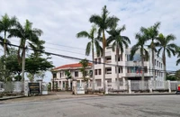 Kiểm toán Nhà nước 'tuýt còi' BQL Dự án tỉnh Quảng Nam