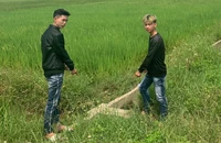 Công an 20 xã, phường truy bắt 2 nghi phạm thực hiện 12 vụ cướp giật