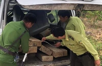Quảng Ngãi: Phát hiện nhiều ô tô vô chủ chở gỗ lậu
