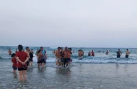 Phó trưởng công an phường cùng 4 người dân cứu sống nạn nhân đuối nước
