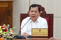 Vụ phá rừng mở đường ở Quảng Ngãi: Chủ tịch tỉnh chỉ đạo 'sai đến đâu xử lý đến đó'
