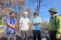 Vụ đốt rừng phòng hộ để diễn tập chữa cháy ở Quảng Nam: Có sai sót