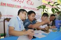 Chặn 2kg nghi sâm Ngọc Linh giả chuẩn bị đưa vào phiên chợ sâm Ngọc Linh