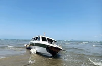 Quảng Nam đề nghị Cục Đăng kiểm kiểm tra tàu hoán cải