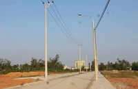 Quảng Nam: Tăng cường thanh tra, kiểm tra gói thầu có phản ánh tiêu cực