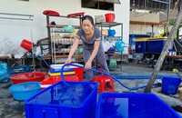 Giá nước sinh hoạt ở Đà Nẵng chênh lệch gần gấp đôi, xử lý ra sao?