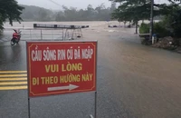 Nhiều tuyến đường các huyện miền núi Quảng Ngãi bị chia cắt.