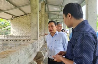Thứ trưởng Lê Văn Thanh kiểm tra dự án đầu tư từ nguồn vốn chương trình MTQG tại huyện Nam Giang (Quảng Nam). Ảnh: TN