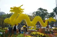 Cặp linh vật rồng vàng tại Quảng Nam lộ diện