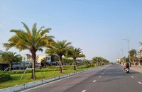 Bộ Công an yêu cầu Quảng Nam cung cấp thông tin các dự án trồng và chăm sóc cây xanh (ảnh minh hoạ). Ảnh: TN