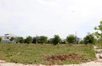 Quảng Nam yêu cầu thanh tra đột xuất dự án 'bán' đất 6 năm không ra sổ. Ảnh: TN