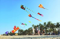 100 loại diều của 12 nước đến Quảng Nam tại lễ hội diều quốc tế. Ảnh: TN