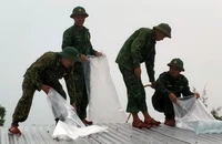 Bộ đội giúp dân chằng nhà chống bão Trà Mi