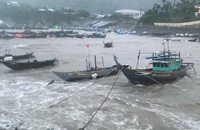 Bão Trà Mi áp sát đất liền, Hội An có gió cấp 8-9