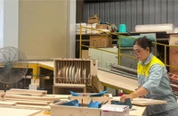 Lương, thưởng Tết ở Quảng Nam giảm, người thấp nhất chỉ 50.000 đồng