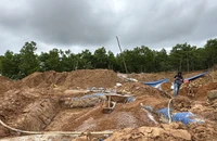 Giá vàng tăng, người dân kéo vào Bồng Miêu khai thác vàng trái phép