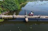 Cầu mới làm 6 năm không xong, người dân liều mình đi trên cầu tử thần