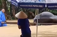 300 ngôi nhà ở vùng rốn lũ ngập sâu, người dân chua xót dắt trâu chết ra ngoài