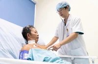 Cụ ông U70 bị ong vò vẽ đốt 30 mũi dẫn đến sốc phản vệ