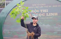 3 ngày mở phiên chợ bán 'quốc bảo' ở Đà Nẵng thu về 5 tỉ đồng