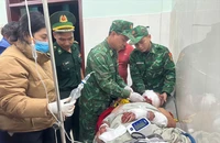 Người đàn ông ở Đà Nẵng bị gấu rừng tấn công