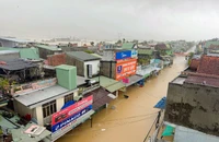 Biển nước bủa vây vùng rốn lũ Đà Nẵng, người dân đưa ô tô lên cầu trú ẩn