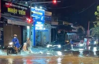 Lũ trên sông Vu Gia, Thu Bồn đang lên trở lại