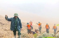 Đà Nẵng: Sạt lở khắp vùng núi phía Tây và bài toán cho tương lai