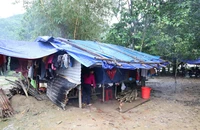 Dân mất nhà do sạt lở và cách làm 'bạo' của TP Đà Nẵng