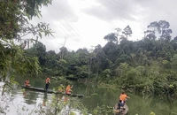 Lực lượng chức năng cùng người dân tìm kiếm tung tích nạn nhân. Ảnh: Sos Quảng Nam.