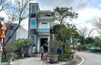Chủ nhân nóng ruột muốn lấy lại nhà cho ủy ban thị trấn Núi Thành cũ thuê. Ảnh: TN