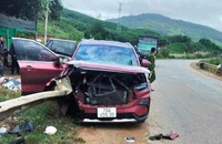 Khởi tố tài xế tự tông xe vào hộ lan khiến hai người tử vong 