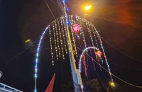 Dựng cây nêu đón Tết, người đàn ông bị điện giật tử vong