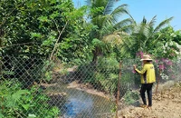 Nước thải chưa xử lý từ khu công nghiệp tràn ra môi trường 