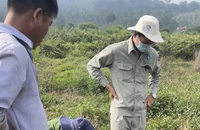 Chủ trại heo bị phạt gần 500 triệu vì xả nước thải bẩn ra môi trường