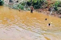Đắk Nông: 5 ngày có 4 học sinh tử vong do đuối nước