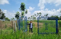 Vợ cũ bán đất giao sổ hồng giả, chồng cũ vướng vòng lao lý