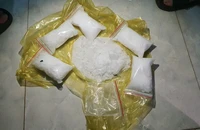 Nam thanh niên mang gần 1 kg ma túy đá từ Bình Phước lên Đắk Lắk bán kiếm lời