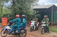 Giá cà phê tăng cao, công an lập chốt tuần tra xuyên đêm trên nương rẫy