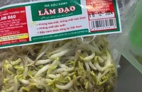 Vụ giá đỗ chứa chất cấm ở Đắk Lắk: Đơn vị cấp giấy chứng nhận nói gì?