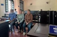 Vụ đưa tiền chạy án rồi bị tội đưa hối lộ: Tiếp tục trả hồ sơ để điều tra