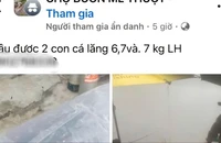 Dân mạng phê phán người đi ô tô nhặt cá của người khác rồi rao bán