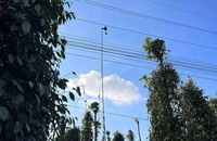 Vào rẫy lắp camera, 2 vợ chồng bị điện giật tử vong