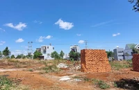 Thị trường bất động sản Buôn Ma Thuột 'ấm' dần vì lý do gì?