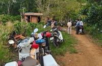 Hai anh em ruột tử vong trong ao nước tưới cà phê ở Đắk Nông