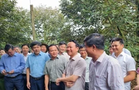 Bộ trưởng Đỗ Đức Duy: Gian lận mã số vùng trồng sầu riêng là 'vi phạm hình sự'