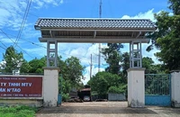Bảo vệ và phó giám đốc công ty lâm nghiệp bị hành hung khi ngăn lấn đất rừng